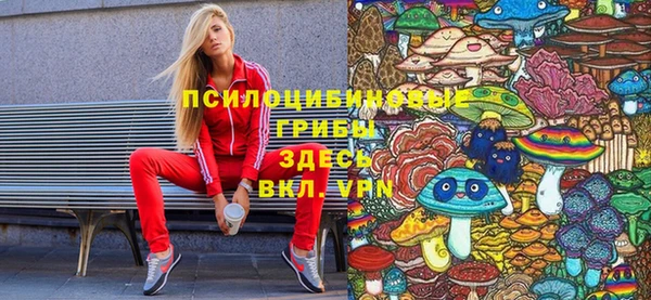 ГАЛЛЮЦИНОГЕННЫЕ ГРИБЫ Алексеевка