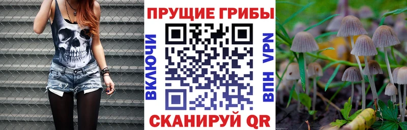 Галлюциногенные грибы MAGIC MUSHROOMS  МЕГА зеркало  Сафоново 