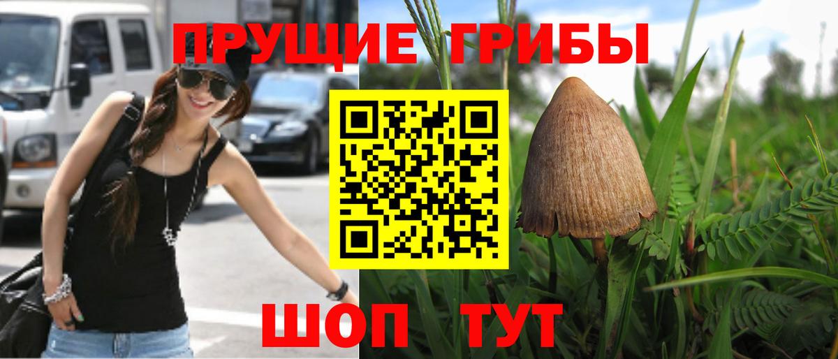 Псилоцибиновые грибы GOLDEN TEACHER  Вход с VPN  Сафоново 