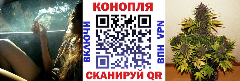 сколько стоит  Сафоново  гидра ТОР  Шишки марихуана тримм 